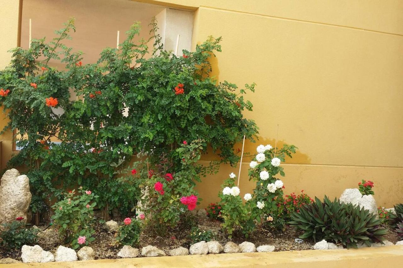 431 - Edif Aguamarina - Vacation Rental Home In The Coast Line Of Golf Del Sur San Miguel de Abona Ngoại thất bức ảnh